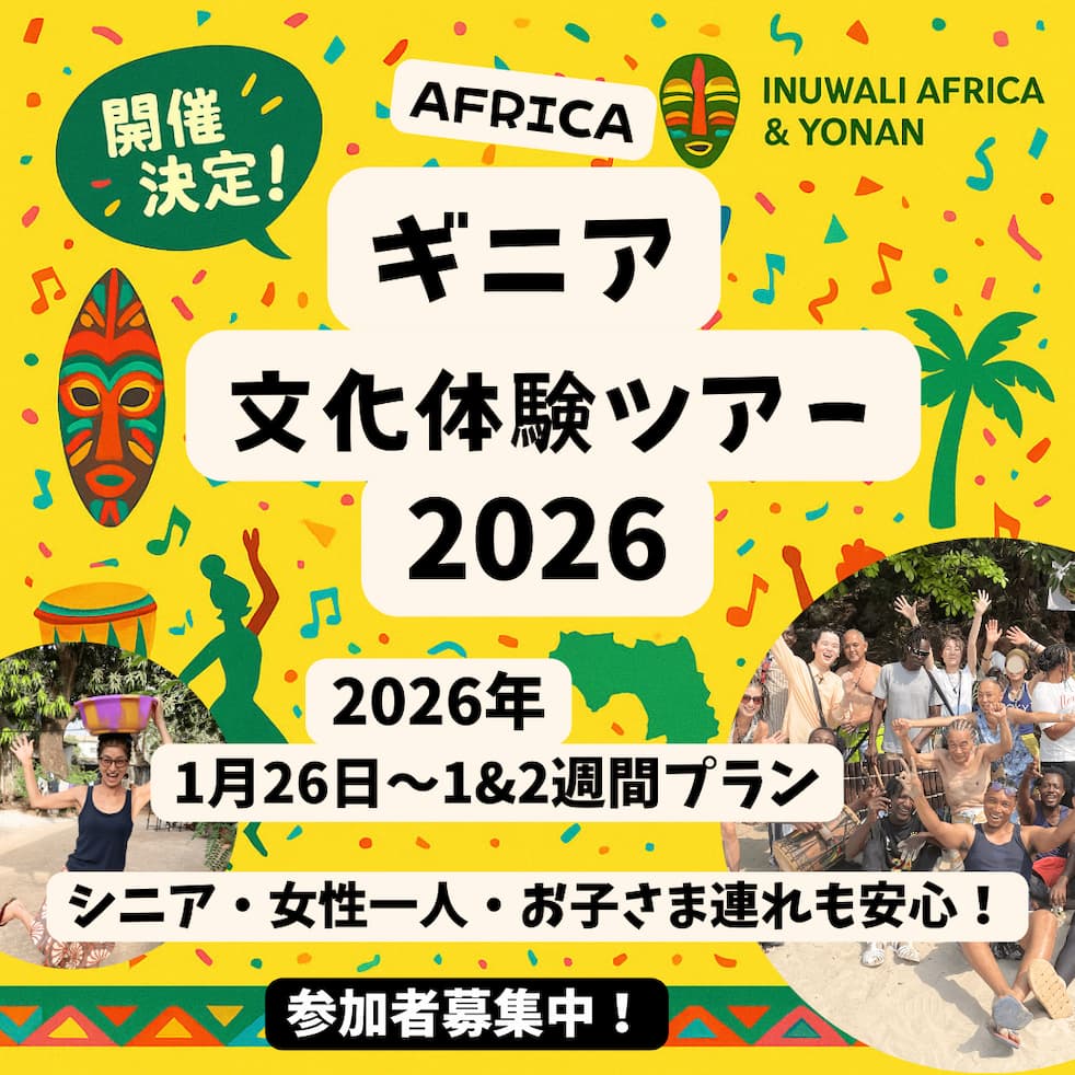 africa guinea tour2026