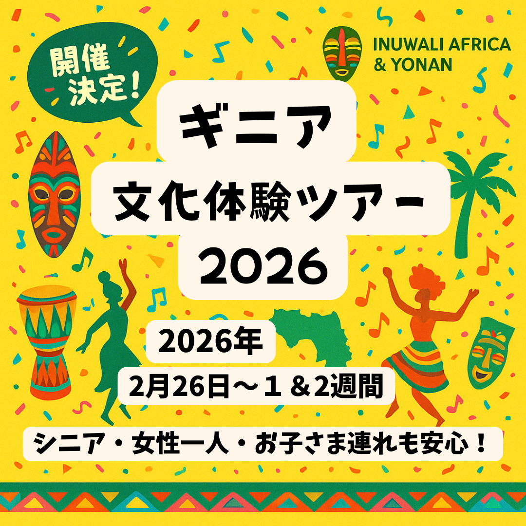 africa guinea tour2026